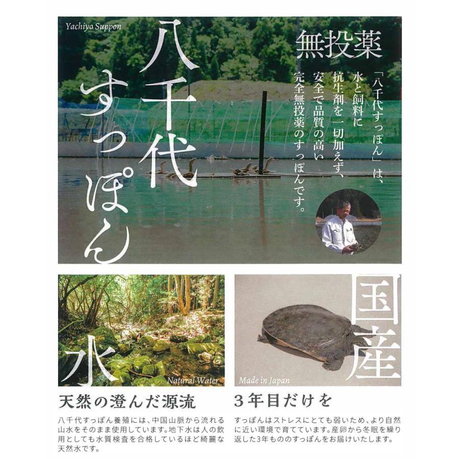 八千代すっぽん鍋セット 5 6人前