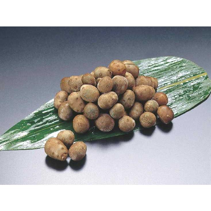 冷凍むかご 500g ムカゴ 零余子 球芽 山芋の赤ちゃん 冷凍 1126 1 湯川商店 Yahoo 店 通販 Yahoo ショッピング