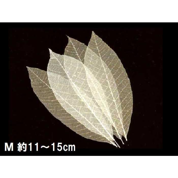 透かし木の葉 M(11〜15cm) 100枚入 (スカシ木の葉 18-791M 透かし木の葉 M(11〜15cm) 100枚入 (スカシ木の葉 18-791M