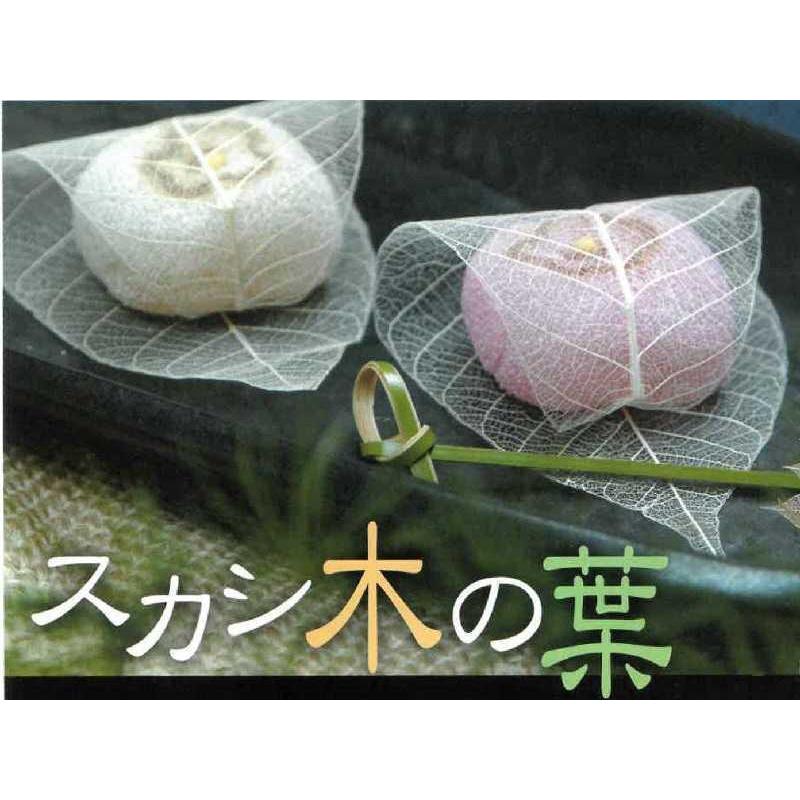 透かし木の葉 M(11〜15cm) 100枚入 (スカシ木の葉 18-791M 透かし木の葉 M(11〜15cm) 100枚入 (スカシ木の葉 18-791M