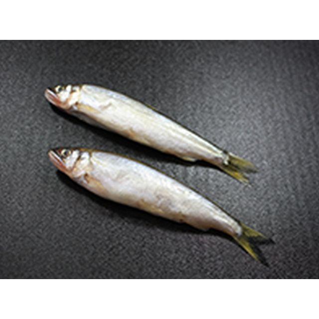 冷凍若鮎 500ｇ 若あゆ 若アユ 川魚 冷凍 湯川商店 Yahoo 店 通販 Yahoo ショッピング