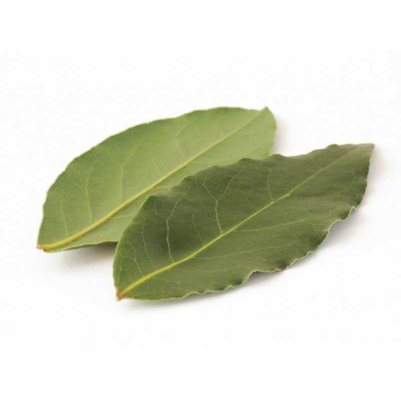 月桂樹　ローリエ ベイリーブスホール 20g (月桂樹の葉 ローレル ローリエ) [常温