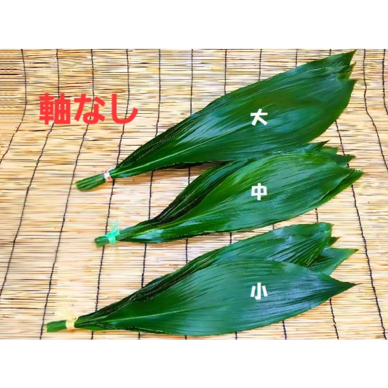 国産 バラン/ハラン軸なし 小 10枚 徳島県or愛知県産(葉ラン 葉