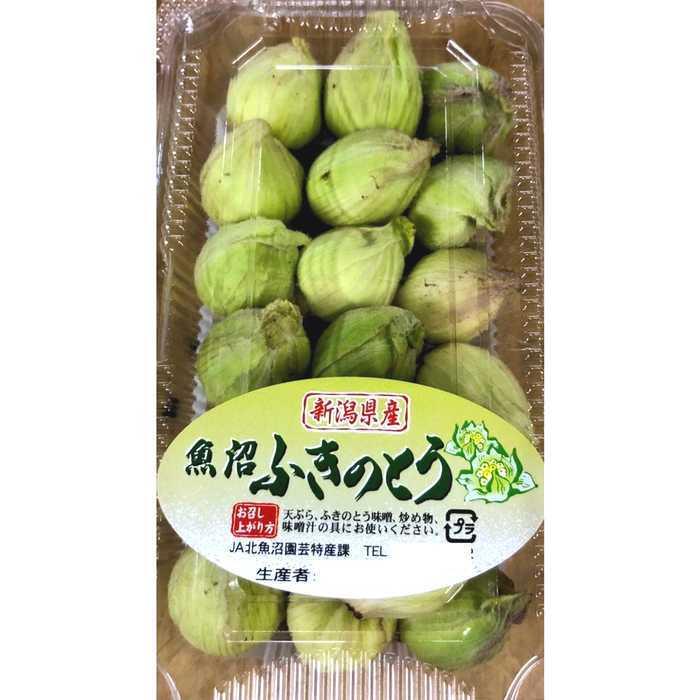 79 以上節約 新潟県 魚沼産 ふきのとう 約100g 山菜 フキノトウ 蕗のトウ 産地 時期により変更 冷蔵 Wantannas Go Id