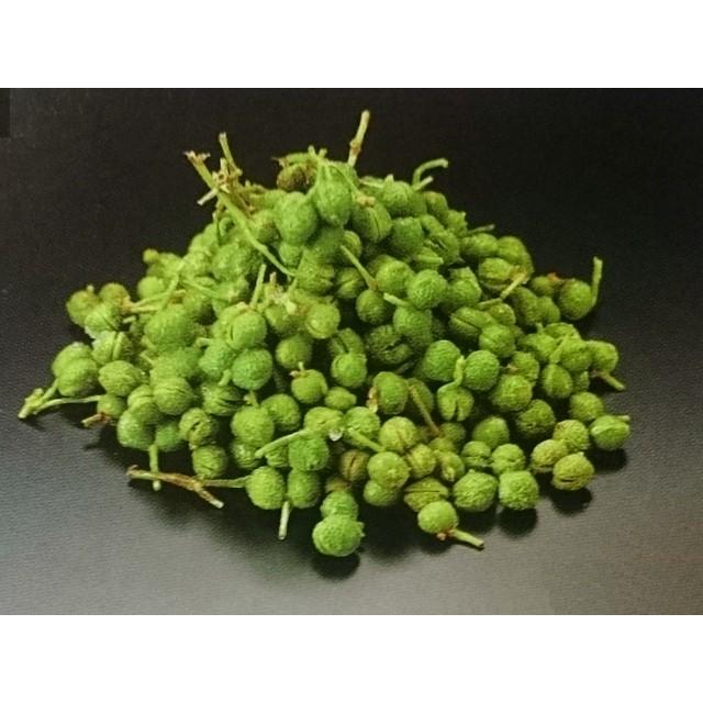生実山椒 100g（50g×袋2） (国産 山椒 さんしょう) [冷凍] : 湯川商店