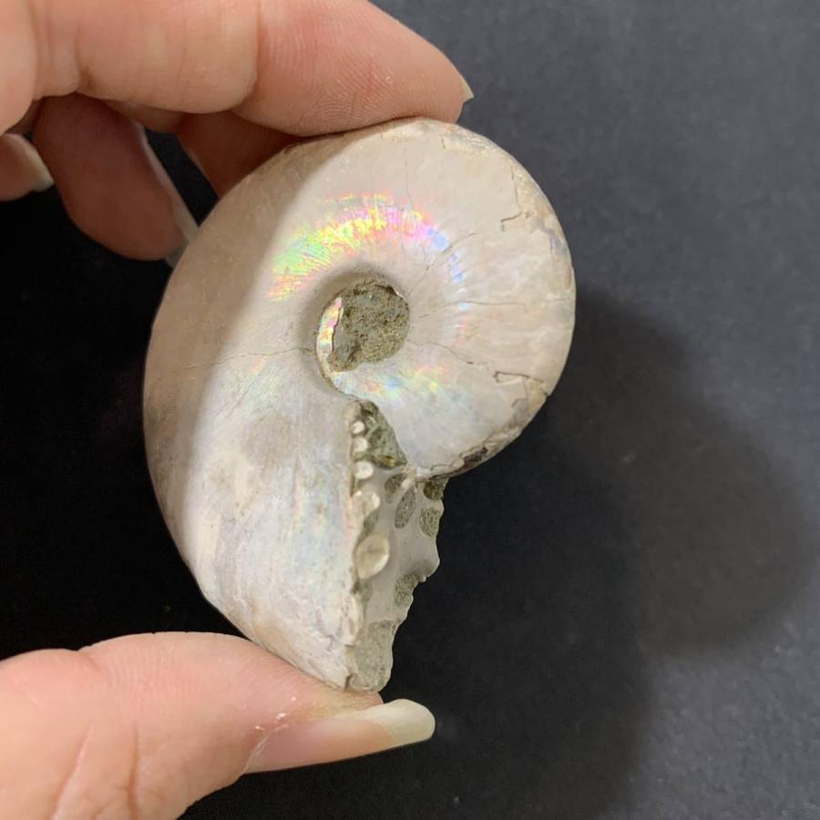 天然石リング螺化石アンモナイト遊色綺麗 16*12mm SV925刻印