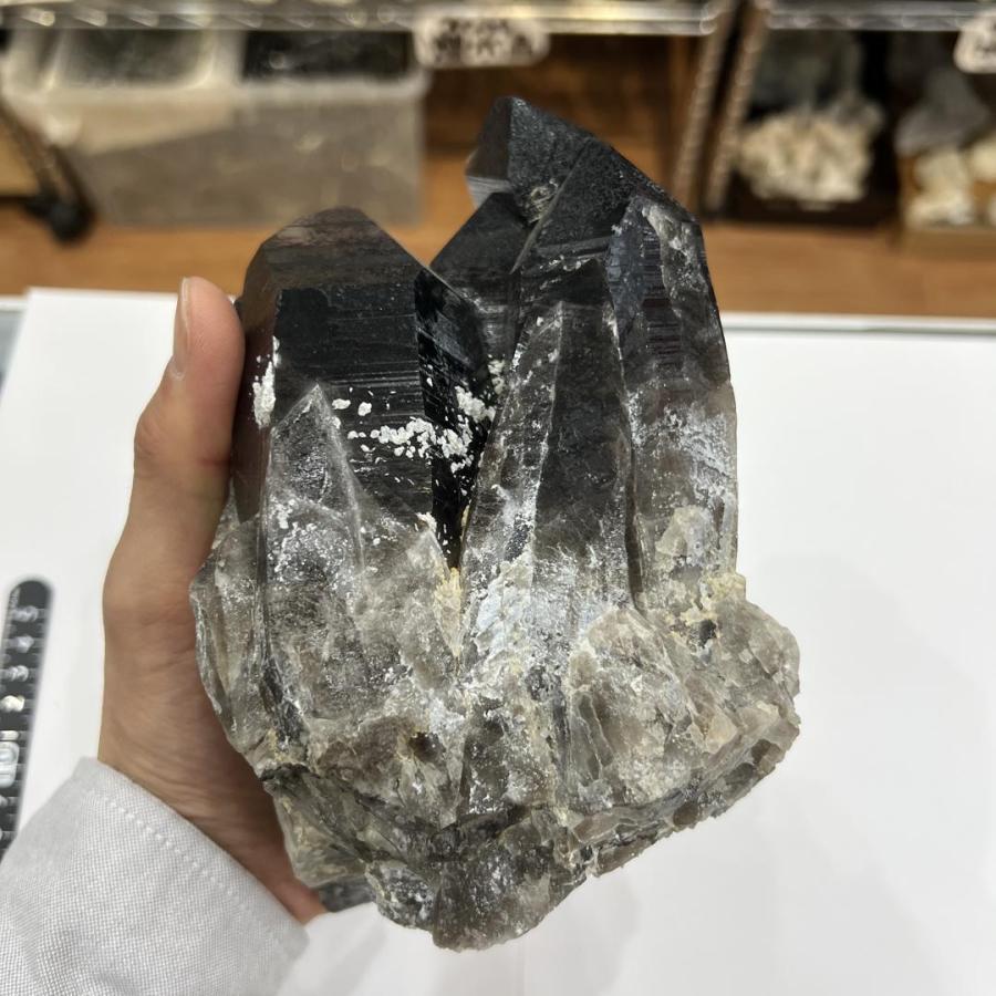 黒水晶　モリオン　結晶 原石 黒水晶結晶56g天然石販売 名取貴石 天然石原石鉱物結晶