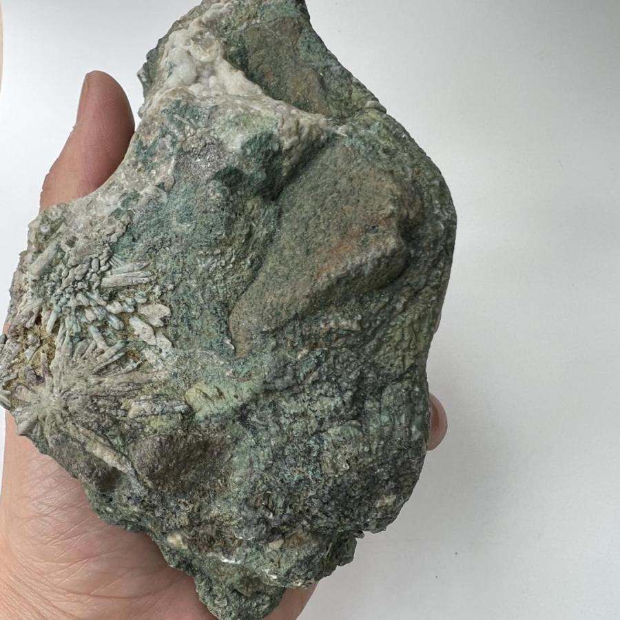 No.【EN21485】岐阜県 菊花石 / 日本産鉱物 邦産 鉱物 天然石 国産