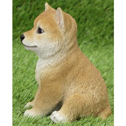柴犬 シバ犬 仔犬 11 5cm 13 5cm 高さ17cm 重量 390g Qy 39 ユカワファニチュアyh 通販 Yahoo ショッピング