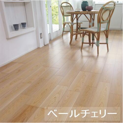 ダイカット【あーみんっ様確認用】 Amazon.co.jp: ダイカッティングマシン,型抜き＆エンボス加工機