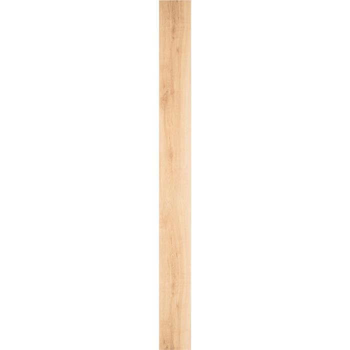 DAIKEN YN7701-50 お取寄せ品 捨貼用 フロア ダイケン DAIKEN YN7701-50 お取寄せ品 捨貼用 フロア ダイケン