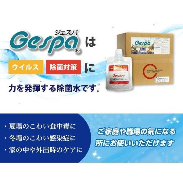 除菌 水 Gespa N-80 4リットル 2本セット 次亜塩素酸ナトリウム 食品添加物 特許取得商品の画像