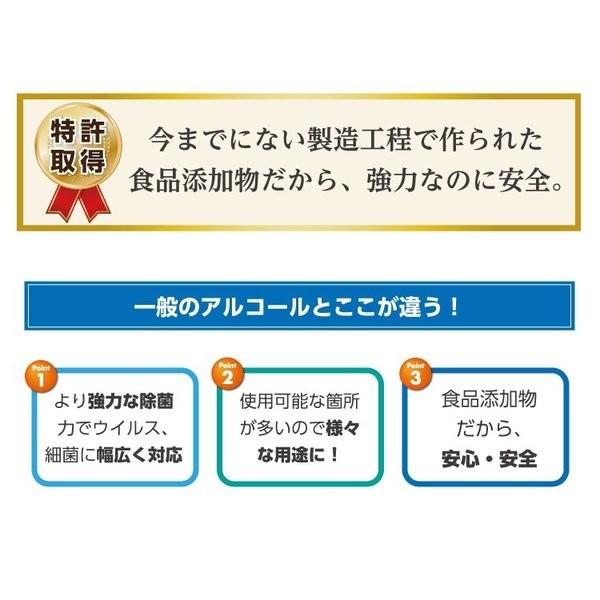 除菌 水 Gespa N-80 4リットル 2本セット 次亜塩素酸ナトリウム 食品添加物 特許取得商品の画像