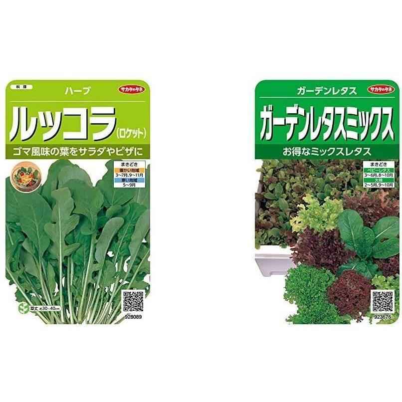 タイム ハーブ 家庭菜園 サカタのタネ タネ