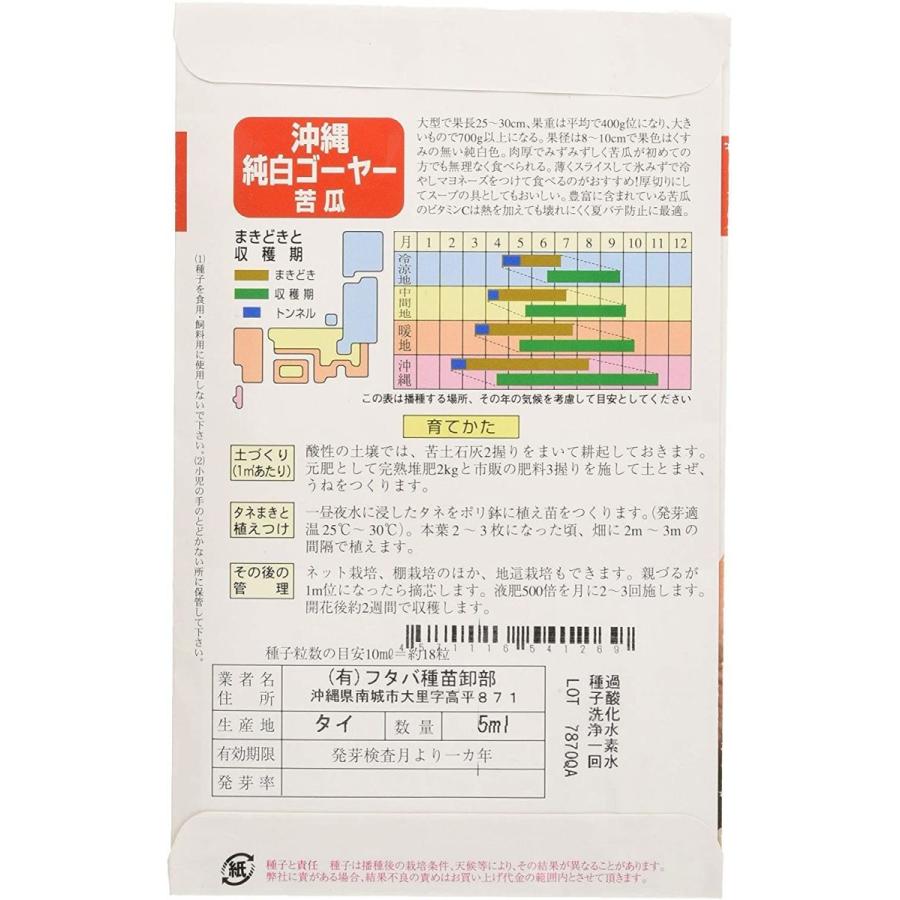 ☆安心の定価販売☆】 松永種苗 ニガウリ あばしゴーヤ― ちゅらくん 小袋 rmladv.com.br ☆安心の定価販売☆】 松永種苗 ニガウリ あばしゴーヤ― ちゅらくん 小袋 rmladv.com.br