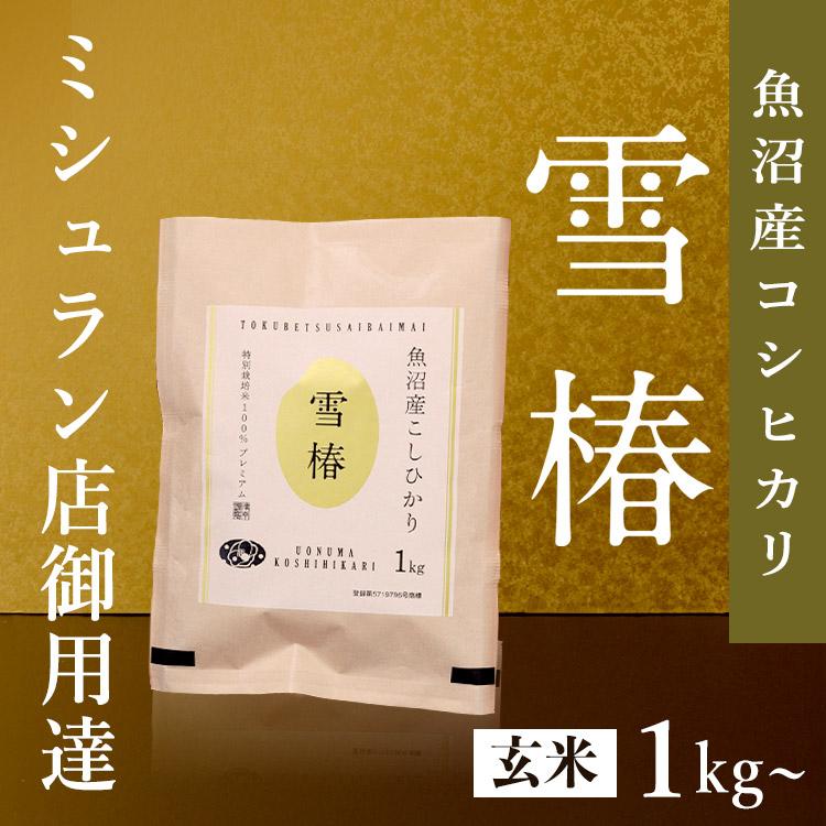 雪椿 米 お米 玄米 1kg コシヒカリ 魚沼 新潟 魚沼産こしひかり 令和7 