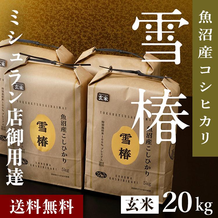 雪椿 米 お米 玄米 20kg コシヒカリ 魚沼 新潟 魚沼産こしひかり 令和7