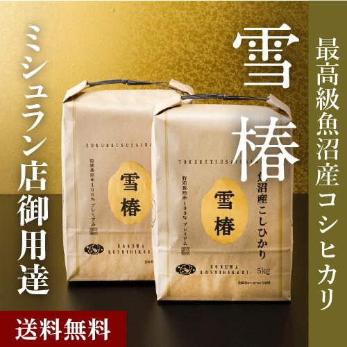 雪椿 爆買 御中元 米 お米 こしひかり 10kg 10キロ 魚沼産 新潟 魚沼産