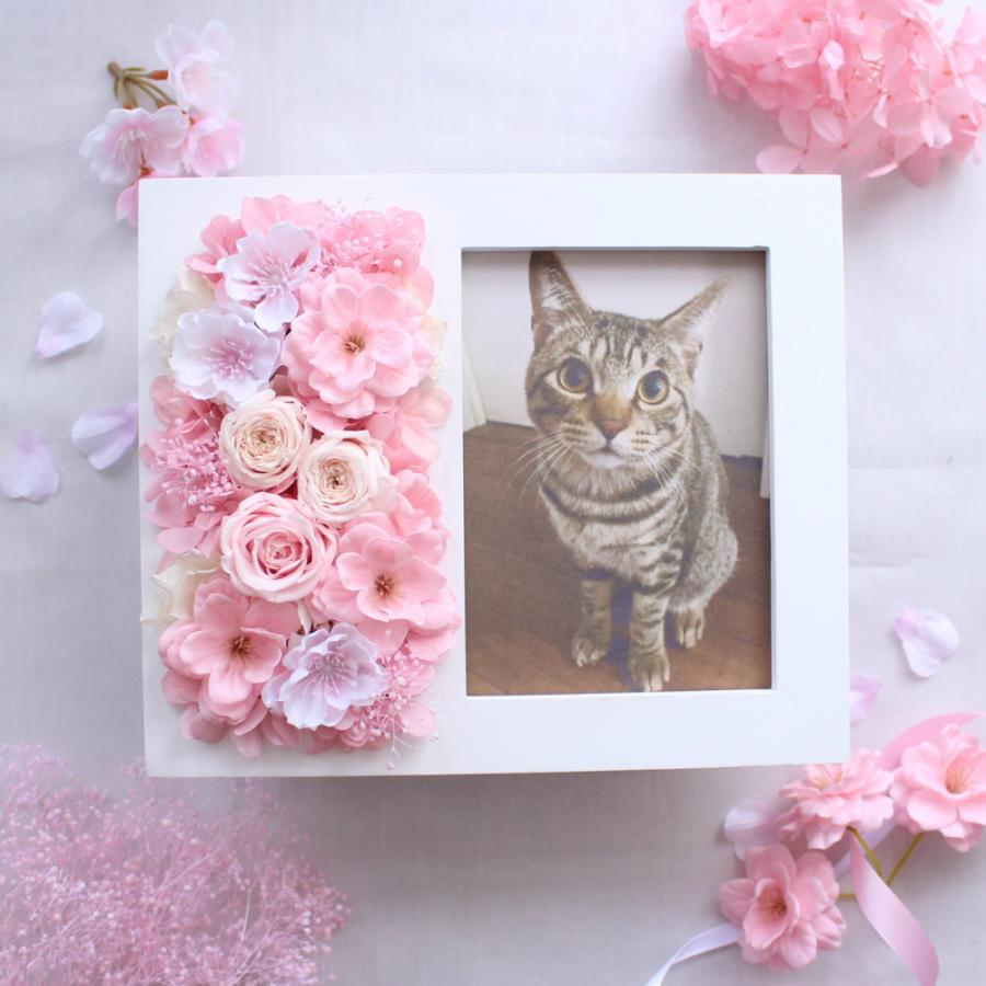 桜 フォトフレーム 写真立て 花 さくら 卒業 送別 プリザーブド