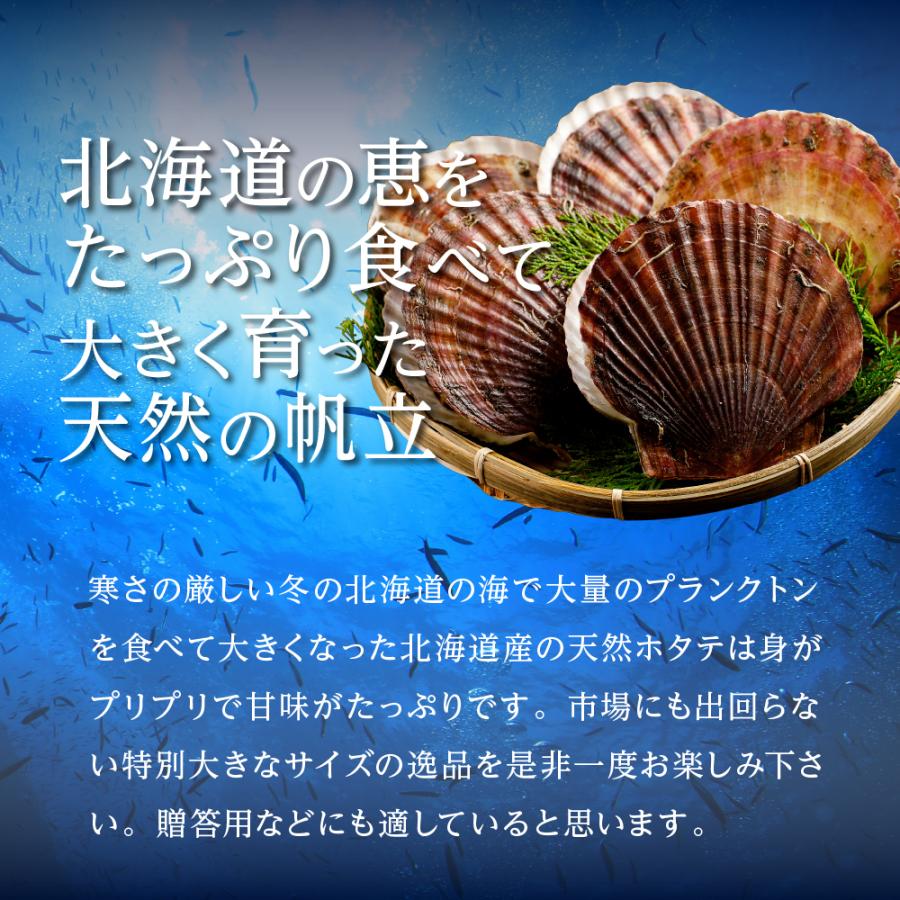 訳あり 北海道産 生ホタテ貝柱 1kg お刺身 生ほたて 帆立 わけあり 刺身 バター焼き フライ 海鮮丼 手巻き寿司 おつまみ 寿司ネタ ギフト｜yukigunistory｜06