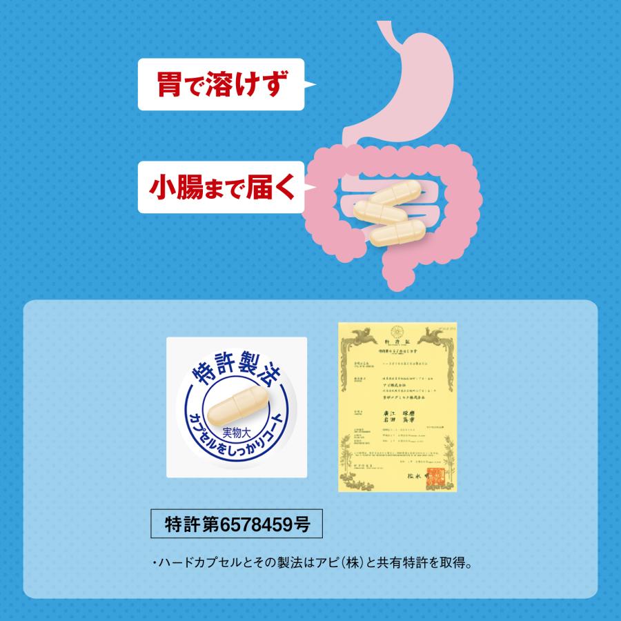 雪印メグミルク 雪印 メグミルク 公式 ガセリ菌SP株 カプセル 機能性