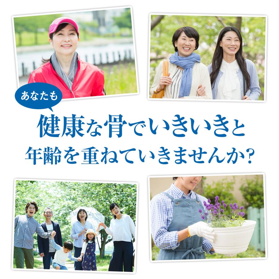 雪印メグミルク 雪印 メグミルク 公式 毎日骨ケア MBP(R) ペット