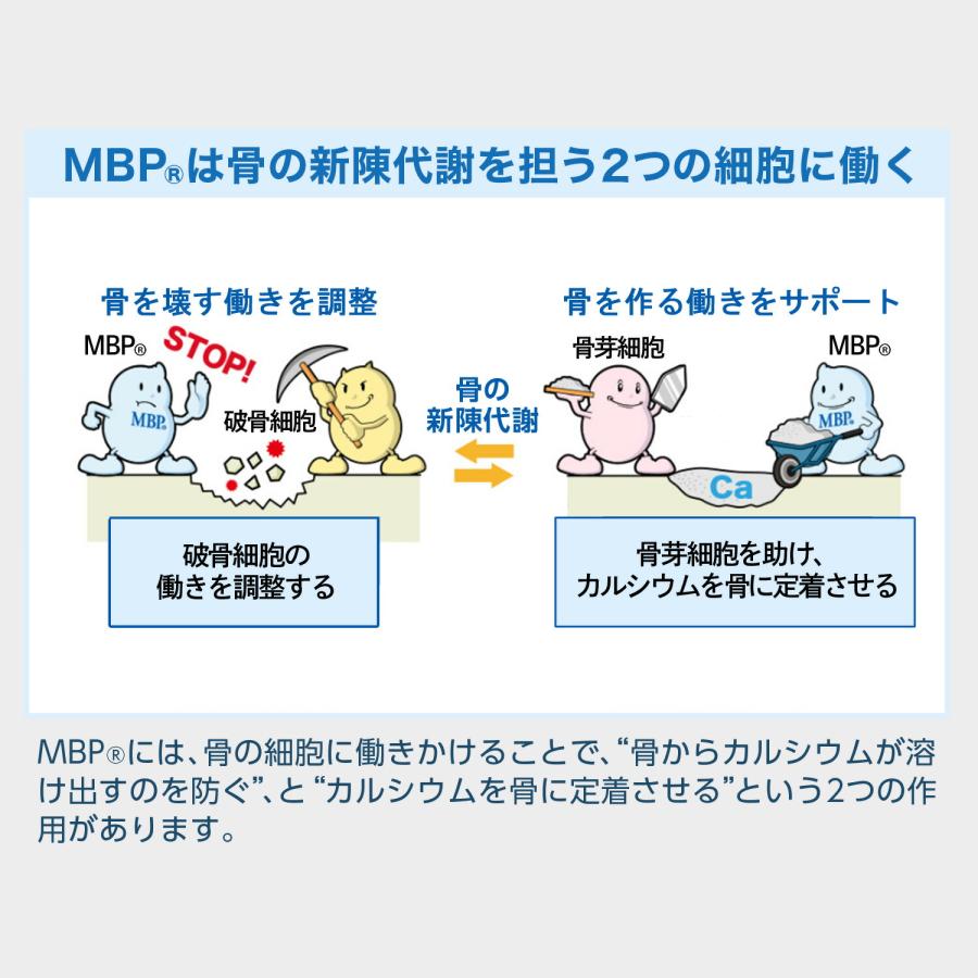 雪印 メグミルク 公式 毎日骨ケア MBP(R) ペットボトル ブルーベリー風味 トクホ 特定保健用食品 骨密度 サプリメント 30本 30日分｜yukimeg-direct｜08