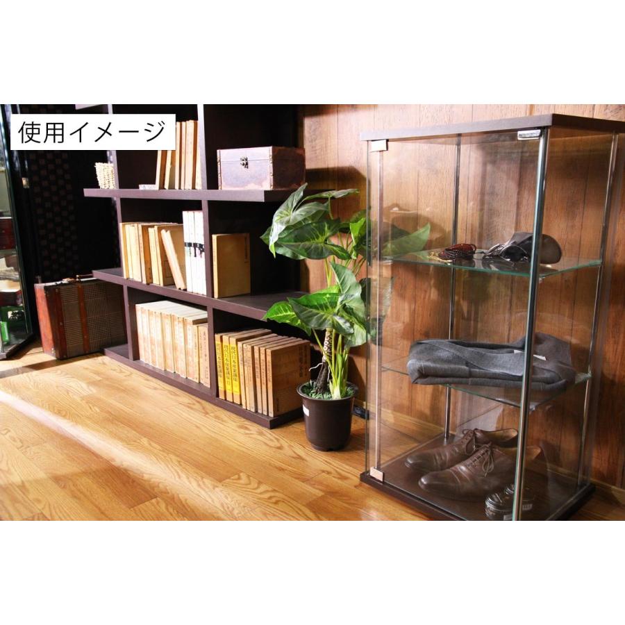 4面　ガラス　コレクションケース　3段　　＜ガラス 透明 フィギュア コレクション 趣味 ディスプレイ 収納 飾る ラック BOX 96049＞_16