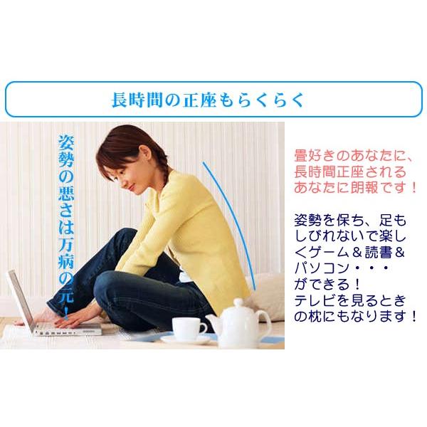 超安い品質 きの小いす 正座椅子 いす イス 座椅子 姿勢 きのこ キノコ 茸 かわいい インテリア 低反発 クッション 簡易枕 小さい 小型 プレゼント Aynaelda Com