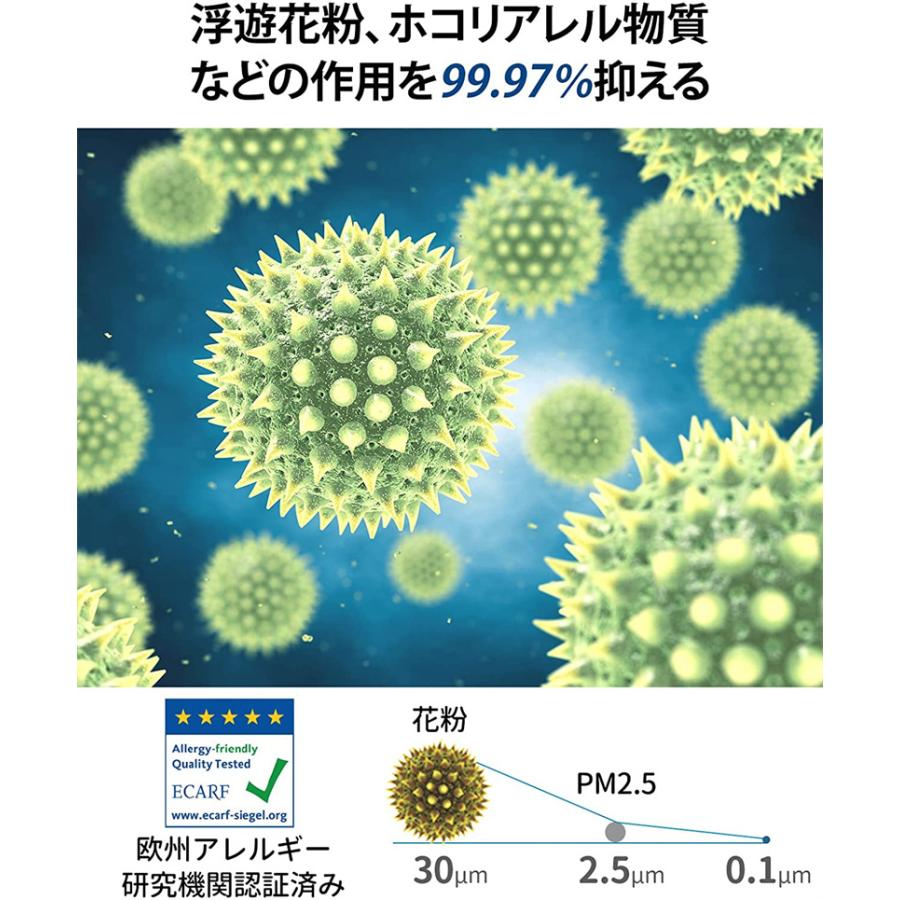 今ならほぼ即納 正規代理店 Levoit 空気清浄機 交換用フィルター 一台三役 個包装1個 花粉 花粉対策 除菌 ほこり 脱臭 Columbiatools Com