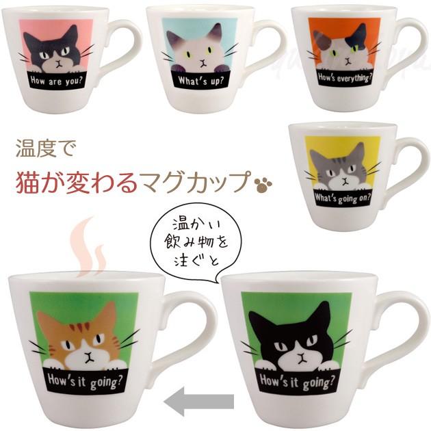 猫のマグカップ 温度で猫が変わる 温感マグ 日本製 大西賢製販 黒猫 ハチワレ猫 三毛猫 サバトラ猫 シャム猫 チャトラ猫 猫雑貨 猫グッズ キャット Onsk Aom1500 猫雑貨の雪猫屋 通販 Yahoo ショッピング