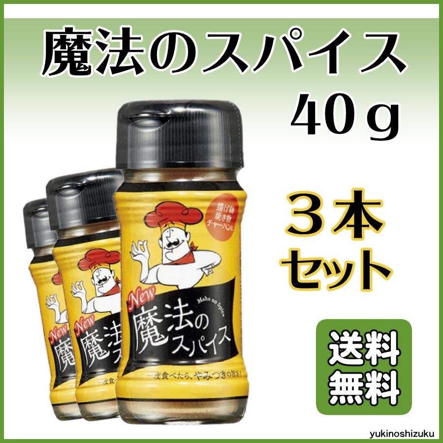 魔法のスパイス 40g 3本 ファインフーズジャパン スパイス 調味料 送料無料｜yukino-sizuku