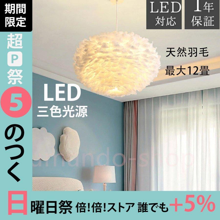 メーカー直販　　新品★　オーデリックランプ259Z1、スポットライトOS　256　488　各2つ