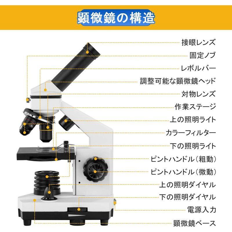 新品 正規品 顕微鏡 日本語の説明書付き スマホ撮影セット 標本 上下ledライト内蔵 100 00倍 単眼生物顕微鏡 ハンディ 中学生 小学生 子供 顕微鏡 Folliq4 Com