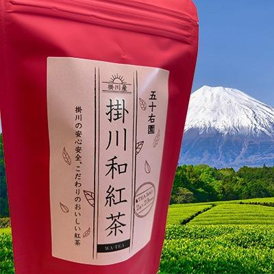 深蒸し茶の掛川からお届け　　掛川和紅茶　テトラパック23包　884円 |  | 04