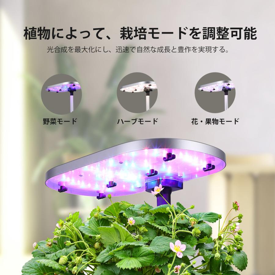 水耕栽培 LED 水耕栽培キット スマートフォン連携 IoT型 アプリ 水耕栽培 LED 水耕栽培キット スマートフォン連携 IoT型 アプリ