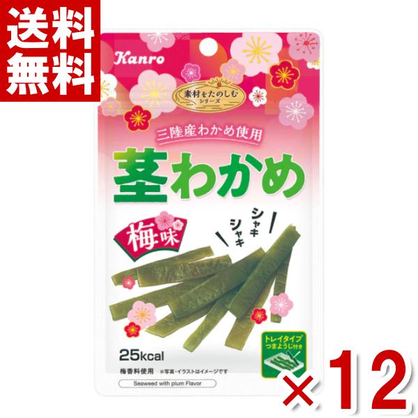 カンロ 茎わかめ 梅味 22g 6×2 12入 茎ワカメ まとめ買い ポイント消化 np メール便全国送料無料 100%品質 カンロ 茎わかめ 梅味 22g 6×2 12入 茎ワカメ まとめ買い ポイント消化 np メール便全国送料無料 100%品質