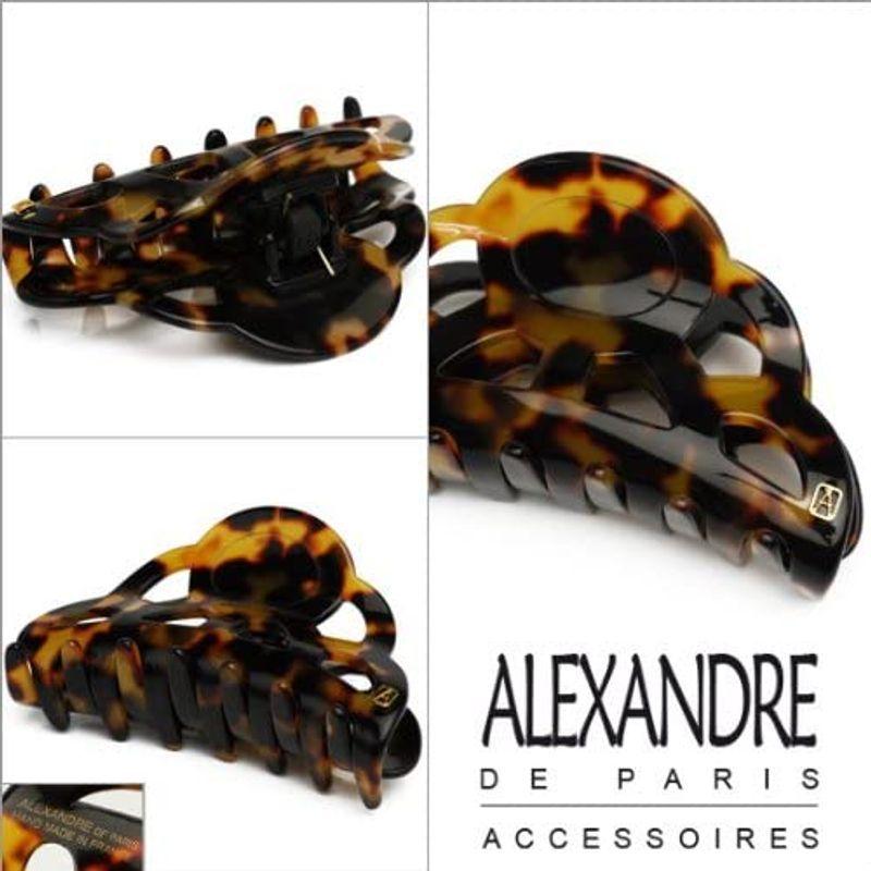 売れ筋商品 アレクサンドル ドゥ パリ ALEXANDRE DE PARIS マウンテン ヘアクリップ Tokyo(べっ甲風) (M) ACCM-936 その他ヘアアクセサリー - www.we-job.com 売れ筋商品 アレクサンドル ドゥ パリ ALEXANDRE DE PARIS マウンテン ヘアクリップ Tokyo(べっ甲風) (M) ACCM-936 その他ヘアアクセサリー - www.we-job.com