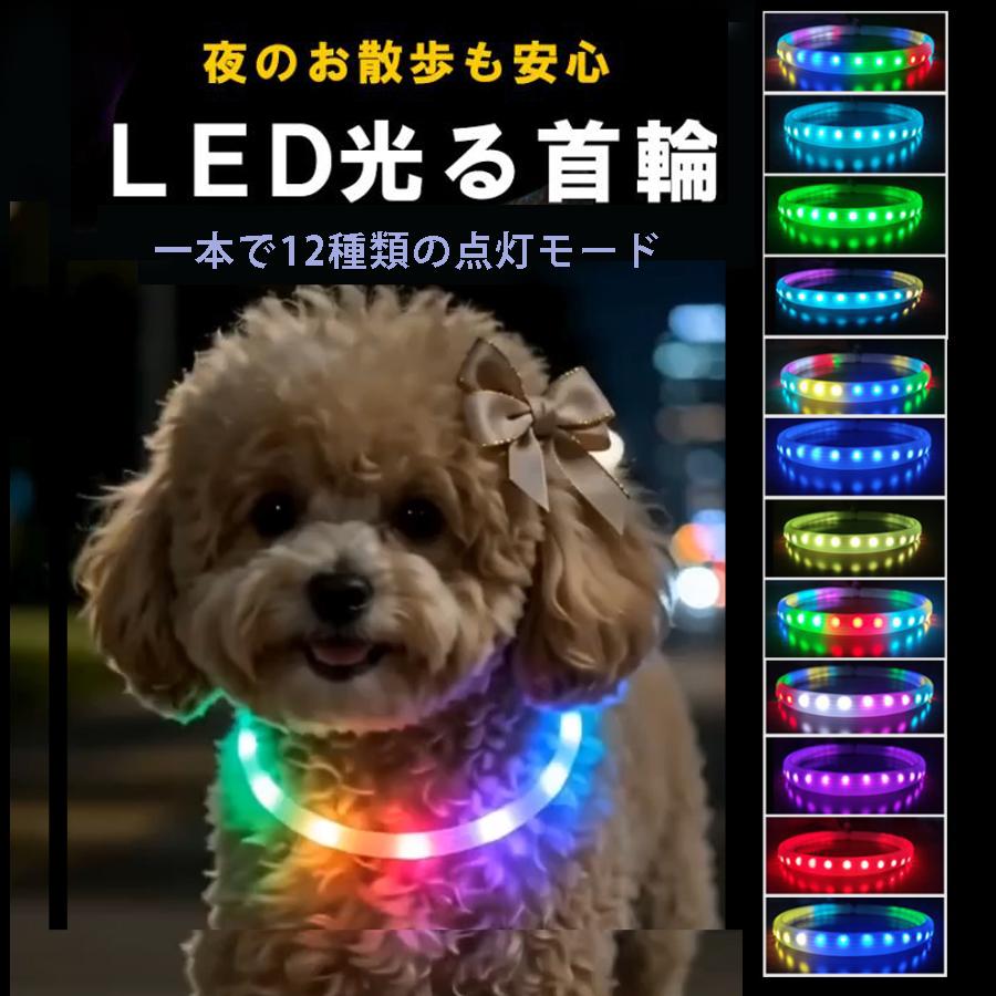 首輪 光る 犬 散歩用 夜 レインボー LED ライト USB 充電式 シリコン