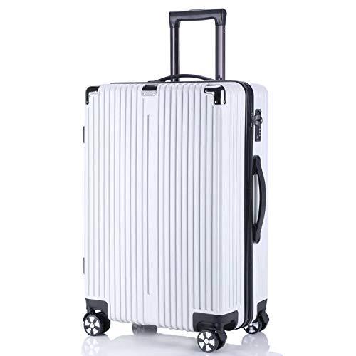 超目玉 レーズ Reezu スーツケース ファスナー 軽量 キャリーケース ジッパー 耐衝撃 キャリーケース 機内持込 キャリーバッグ 人気 大型 配送員設置送料無料 Softservo Co Jp