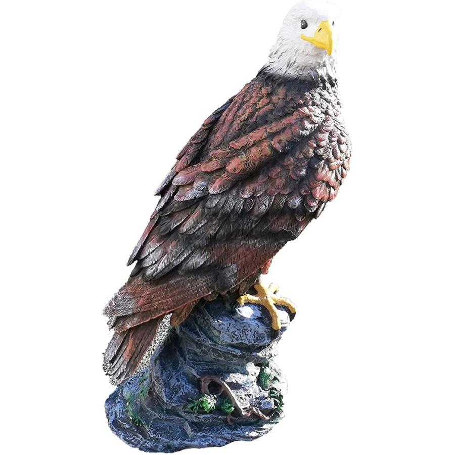 Akindou 害鳥対策 30cm級 鷹 ホーク 置物 スズメ カラス ムクドリ ハト コウモリ の被害激減 デコイ 樹脂製で耐久性抜群 夢cocoro 通販 Yahoo ショッピング