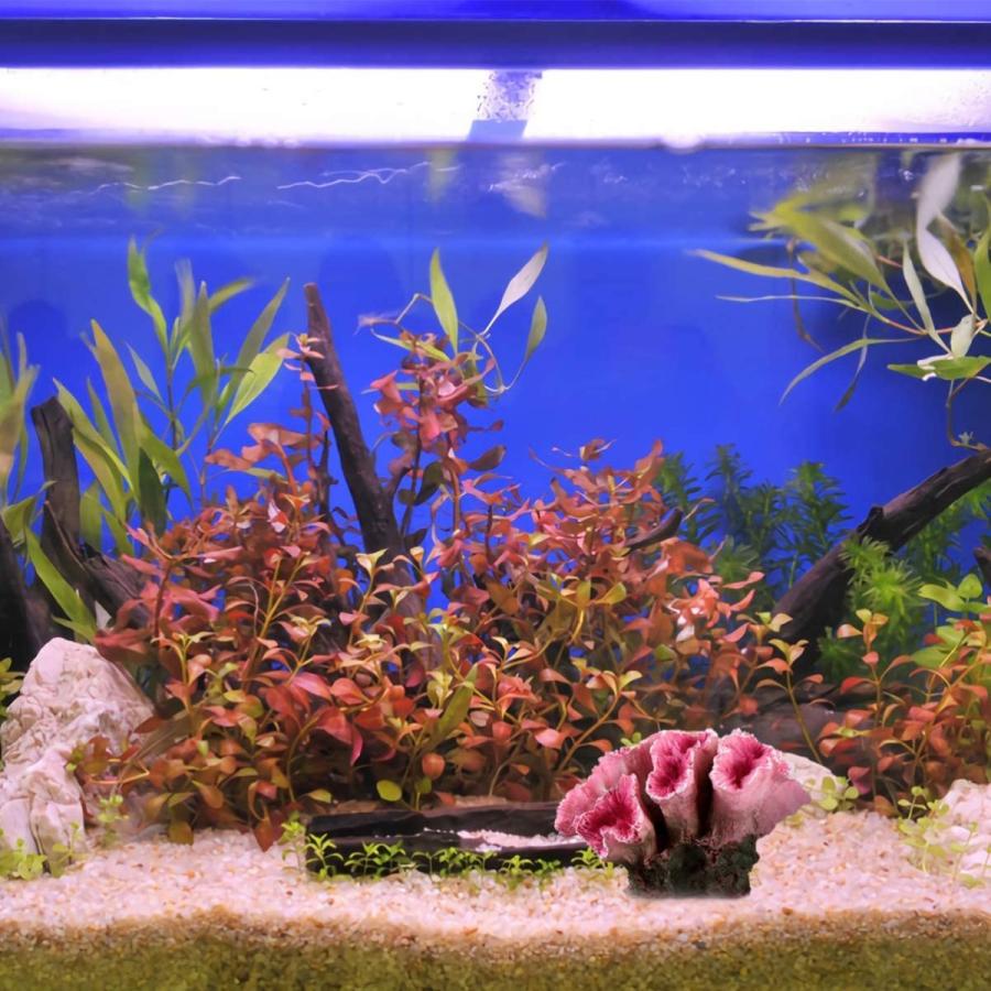 Ueetek 人工植物 サンゴ 水槽装飾 水槽 オーナメント レイアウト 水族館 アクアリウム インテリア 造花 夢cocoro 通販 Yahoo ショッピング