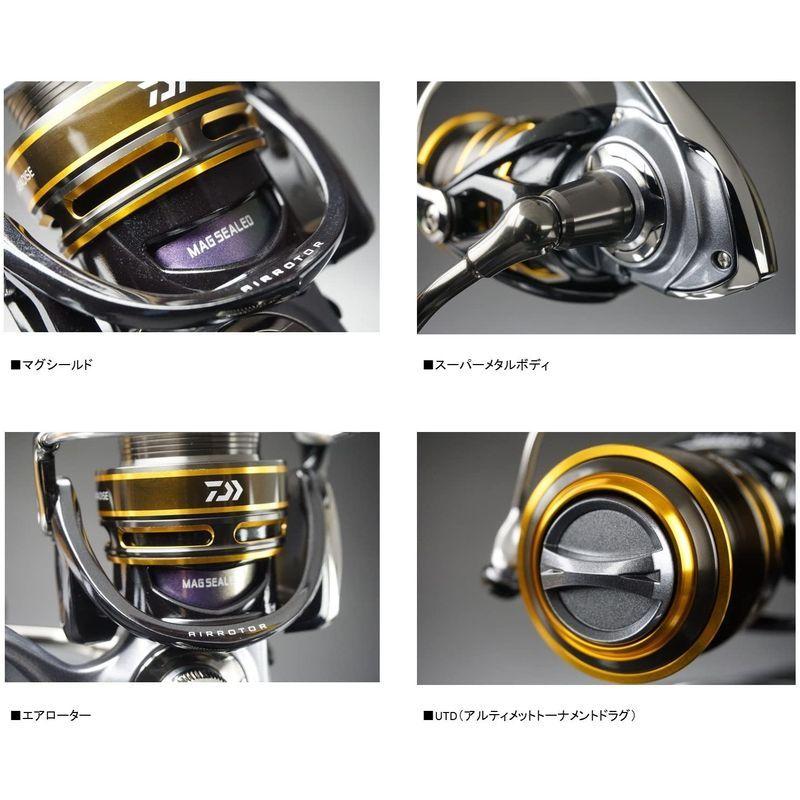 最終値下げ ダイワ Daiwa スピニングリール シーパラダイス 16年モデル スピニングリール Dev Jlstudios Square5 Com