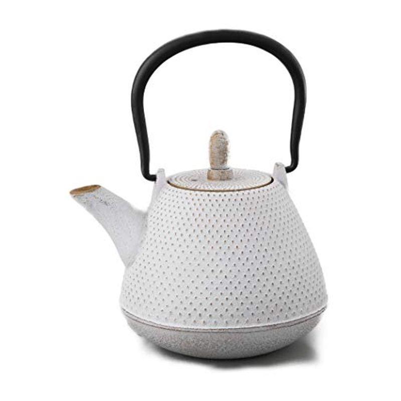 ロジアソシエイツ 南部鉄器 鉄瓶 急須 ドーム霰 0.4L 白 ホワイト 金