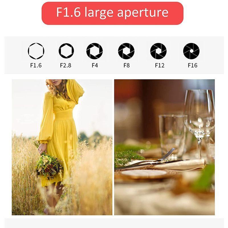 50mm F1.6 Eマウントチルトシフトレンズ プロの画像処理 歪み補正付き手動フルフレームレンズ Sony A9A7シリーズカメラ用 プロの画像処理 F1 Eマウントチルトシフトレンズ 歪み補正付き手動フルフレームレンズ Sony A9A7シリーズカメラ用