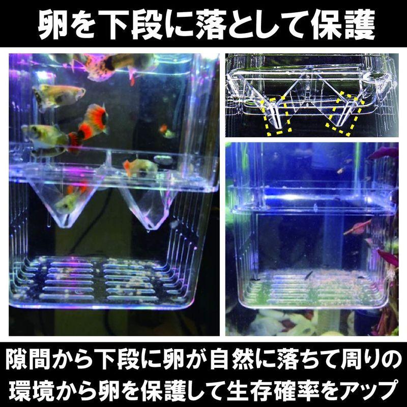 国内外の人気 Hamilo 魚 繁殖隔離ボックス 水槽 熱帯魚 産卵箱 隔離 ボックス 4点セット 小8 5 7 5 11 5cm East Wind Jp