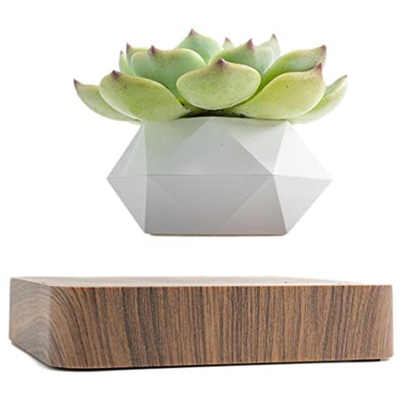 MOETATSU 磁気浮上 空中浮遊 植木鉢，おしゃれなインテリア、面白いグッズ、多肉植物用鉢、贈り物、プレゼント、ギフト、日本語取扱説明書