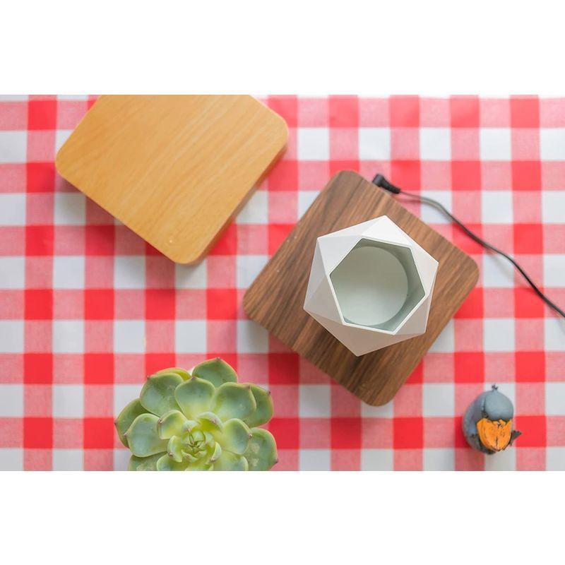 期間セール ！ MOETATSU 磁気浮上 空中浮遊 植木鉢，おしゃれなインテリア、面白いグッズ、多肉植物用鉢、贈り物、プレゼント、ギフト、日本語取扱説明書 【1402424733】(9105円)