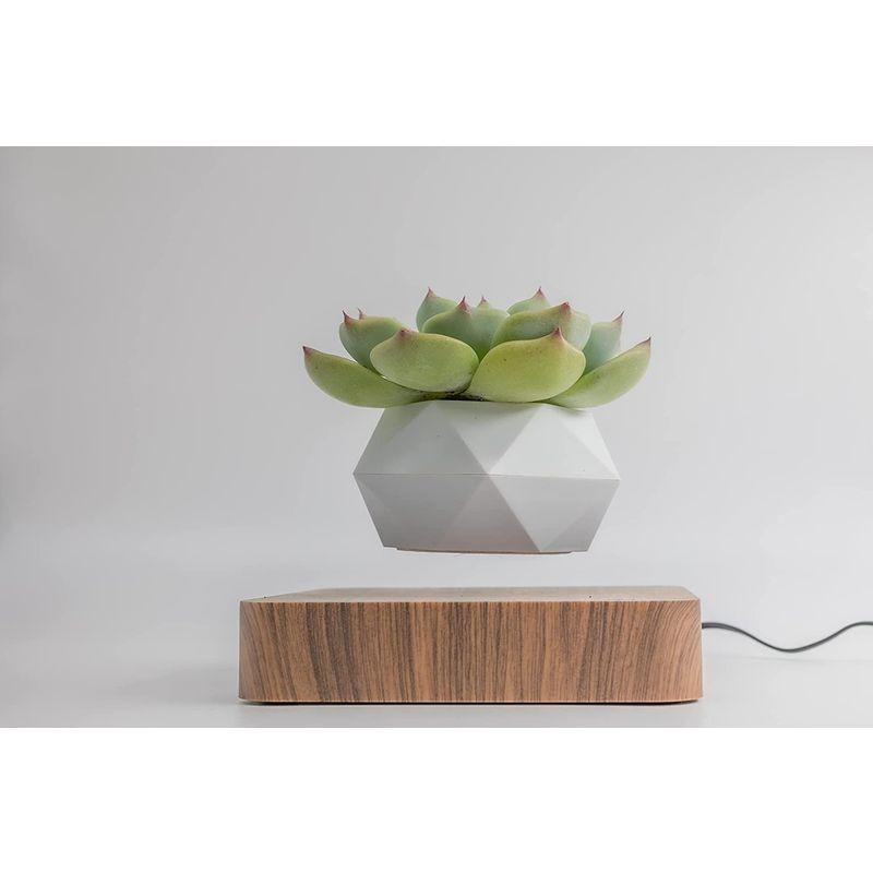 期間セール ！ MOETATSU 磁気浮上 空中浮遊 植木鉢，おしゃれなインテリア、面白いグッズ、多肉植物用鉢、贈り物、プレゼント、ギフト、日本語取扱説明書 【1402424733】(9105円)