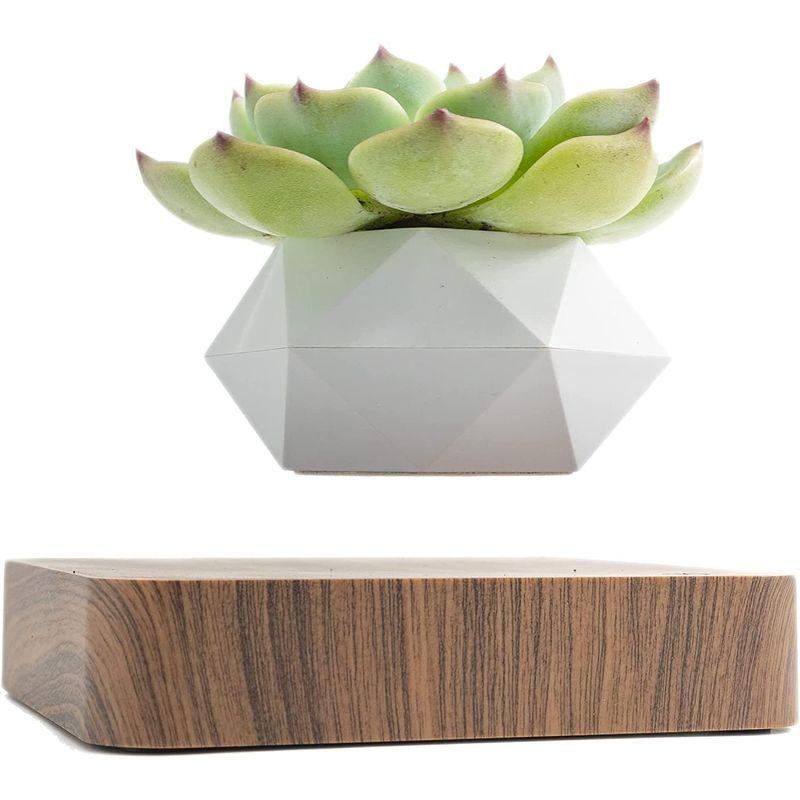 期間セール ！ MOETATSU 磁気浮上 空中浮遊 植木鉢，おしゃれなインテリア、面白いグッズ、多肉植物用鉢、贈り物、プレゼント、ギフト、日本語取扱説明書 【1402424733】(9105円)